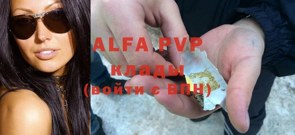 apvp Инта