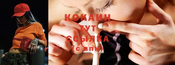 apvp Инта