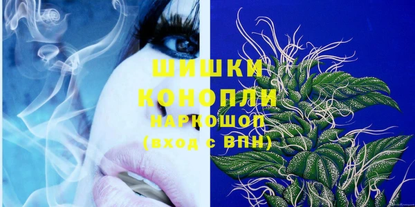 apvp Инта