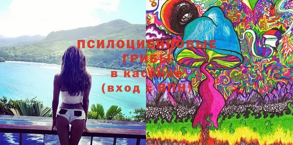 ГАЛЛЮЦИНОГЕННЫЕ ГРИБЫ Иннополис