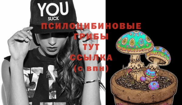 apvp Инта