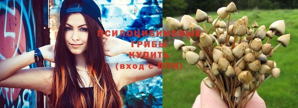 apvp Инта