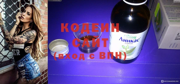 apvp Инта