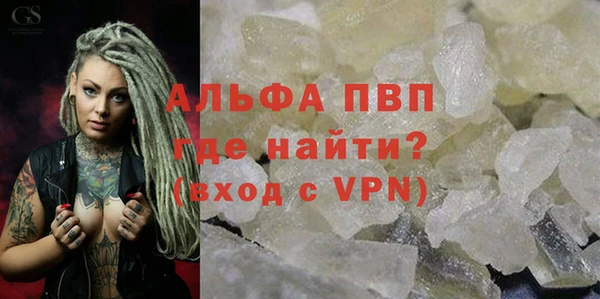ГАЛЛЮЦИНОГЕННЫЕ ГРИБЫ Иннополис
