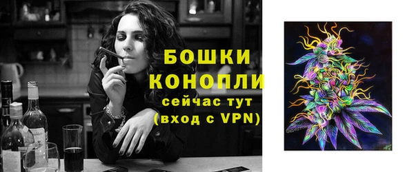 ГАЛЛЮЦИНОГЕННЫЕ ГРИБЫ Иннополис