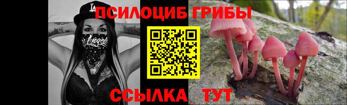 Псилоцибиновые грибы GOLDEN TEACHER  Жуковский  Галлюциногенные грибы мухоморы 