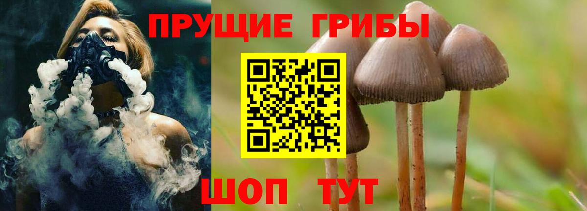 Галлюциногенные грибы мицелий Жуковский
